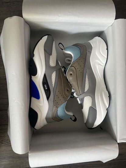 Dior b22 (Blue/White)