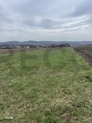 RECO, teren intravilan in Vadu Crisului