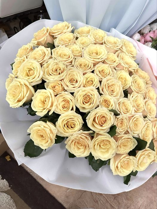 Цветы 51 роза, свежий