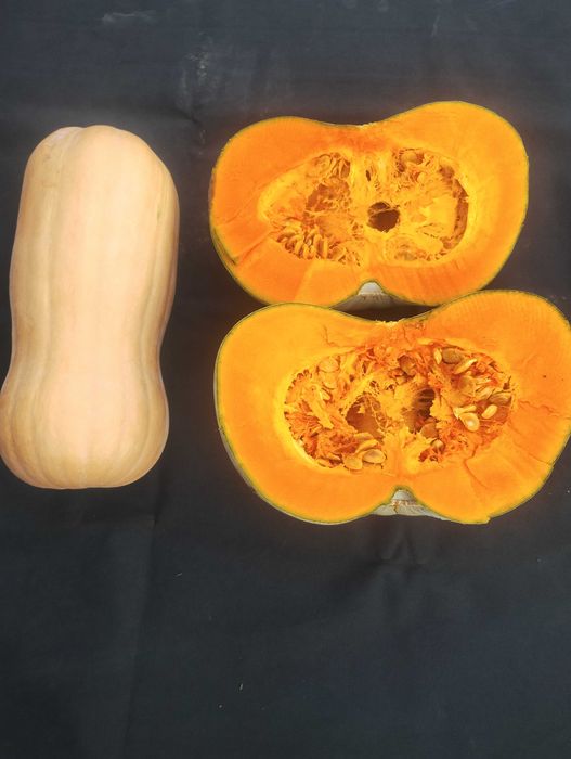 Тикви Сампсон,Матилда