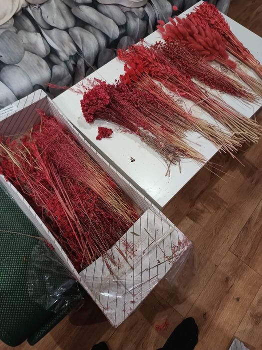 Изсушени  естествени класове за декорация