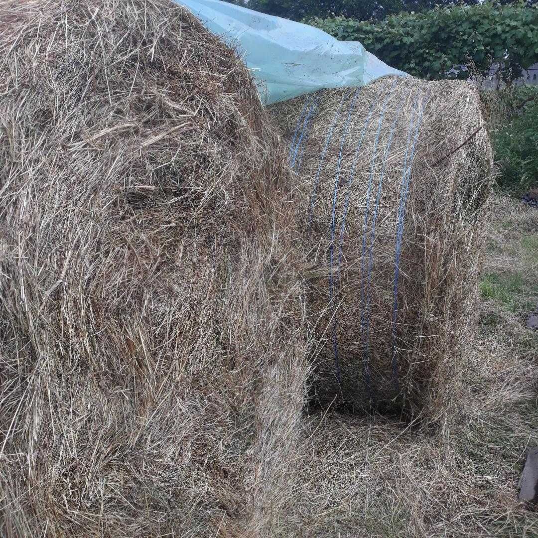 Baloți fân și lucernă