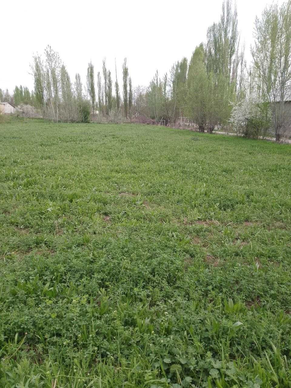Yer sotiladi yaxshi joydan
