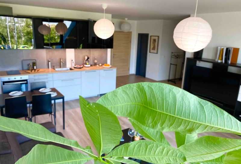 Дава се под наем Едностаен апартамент в София, Хладилника - 66 кв.м за 285 € - Снимка #5