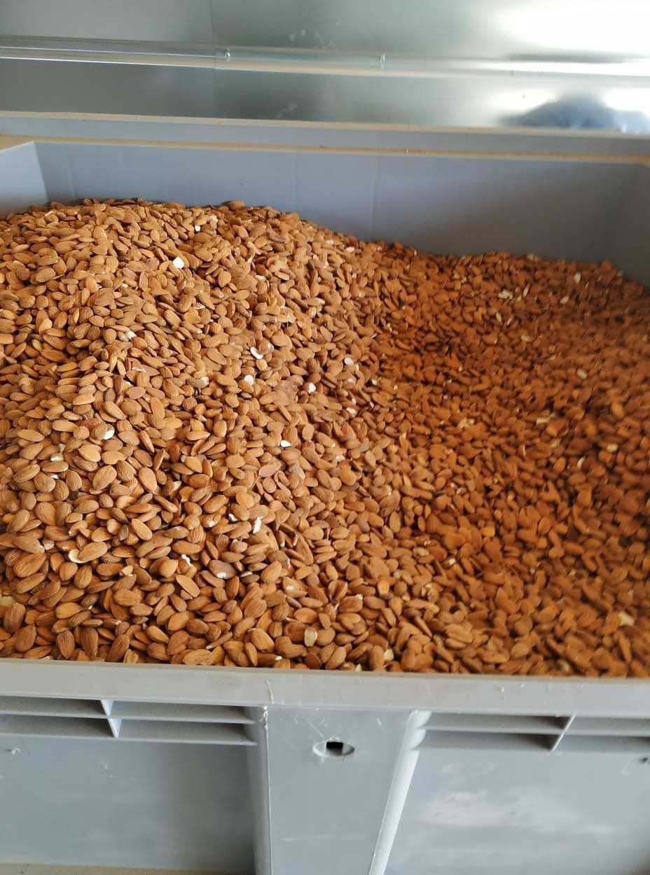 Продажби на бадеми,бадемов тахан,дюли, нар и райска ябълка