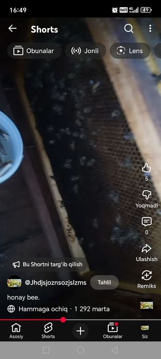 Asarlari oilasi 2024 семя sotiladi