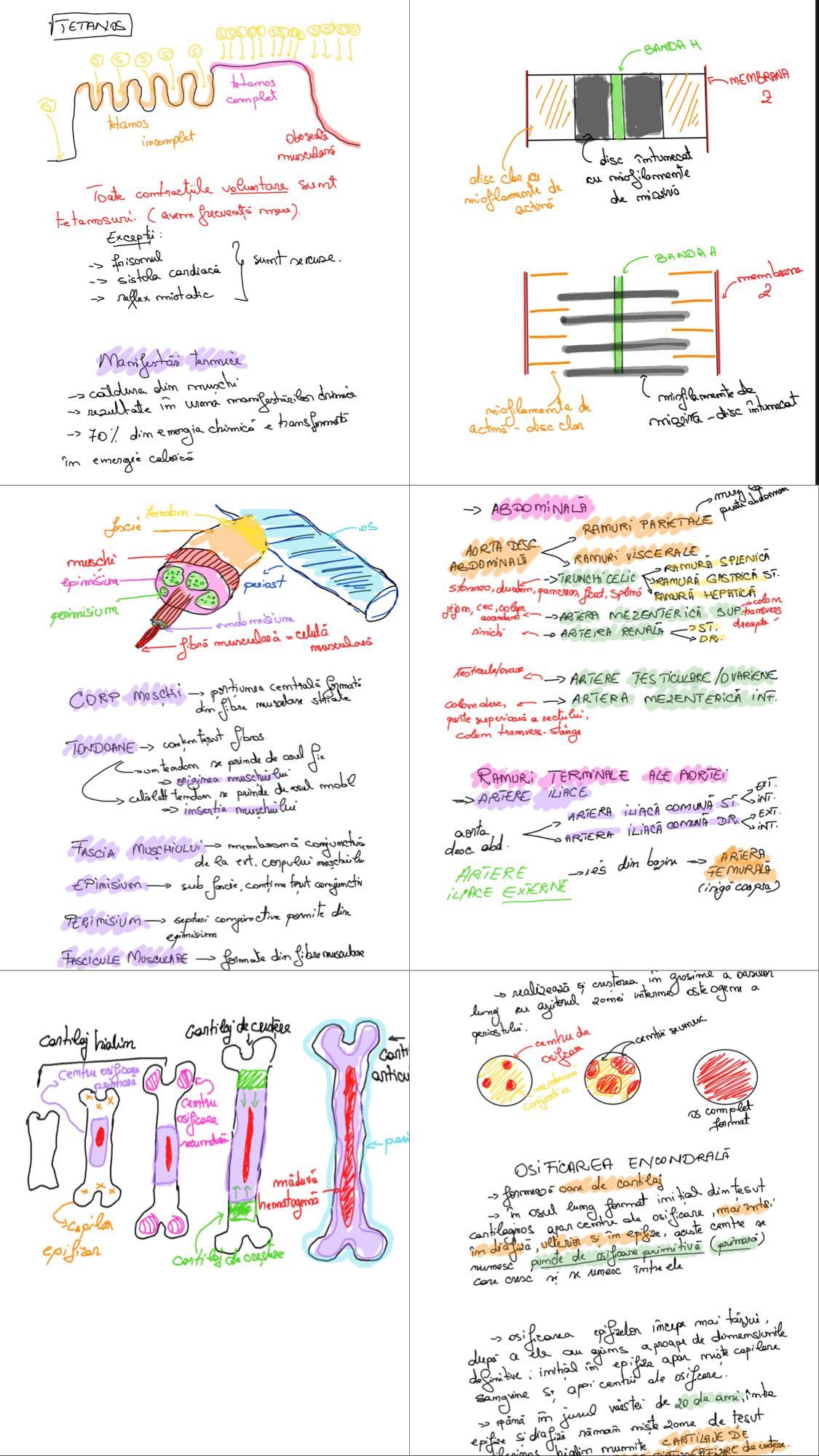 PREGĂTIRE -Biologie / Chimie Bacalaureat/ Admitere Facultate