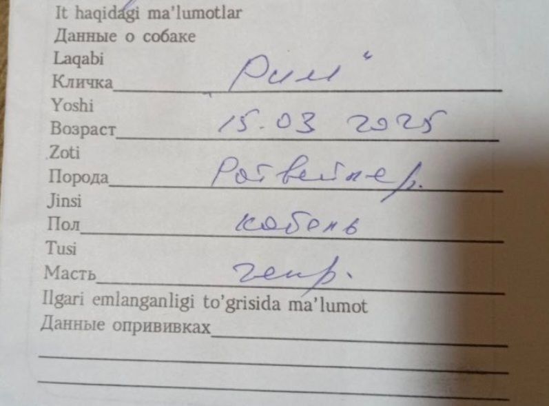 Продаём собаку в хорошие руки.