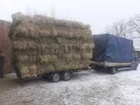 Baloți lucernă cu transport la domiciliu