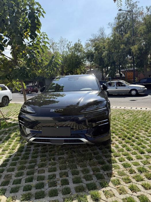 Byd champion smart pozitsiya