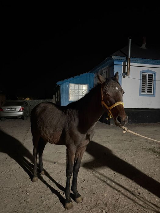 Срочноо продается!!!