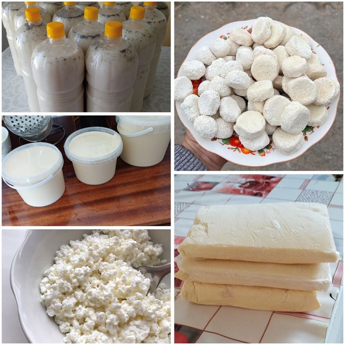 Масло ,сметана,творог,курт.