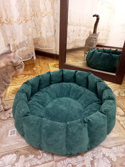 Лежанки для кошек и маленьких пород собак