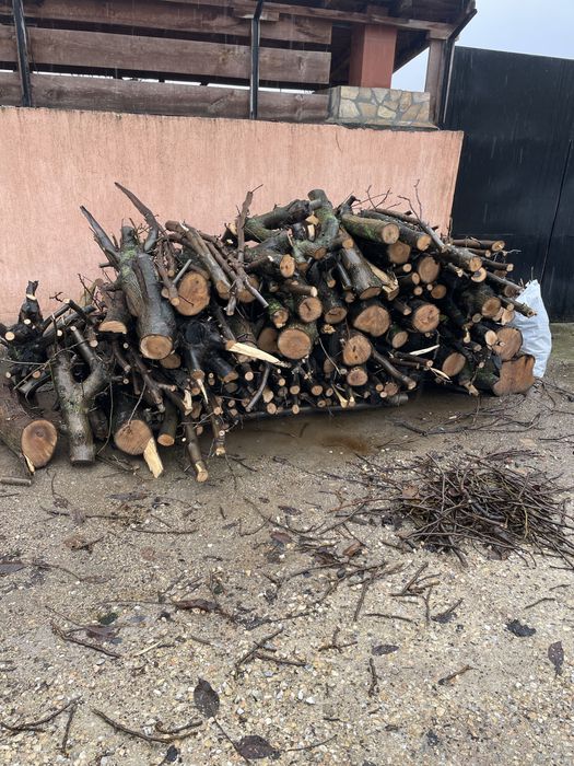 Дървен материал от ОРЕХ