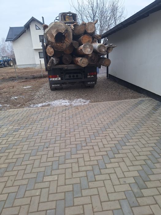 Man basculabil.  ( forestier)