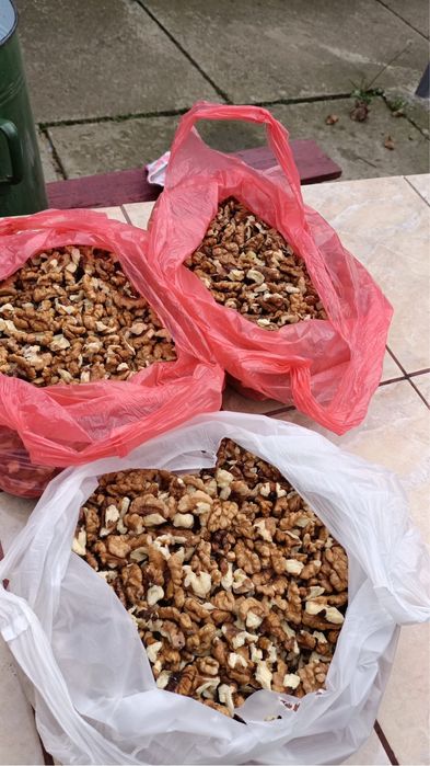 Miez de nuca - productie an curent