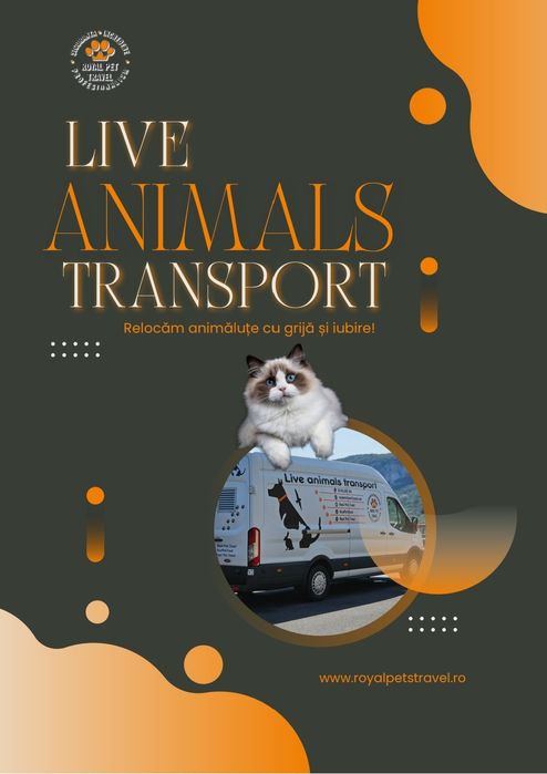 Transport autorizat A.N.S.V.S.A animale de companie Romania-Portugalia