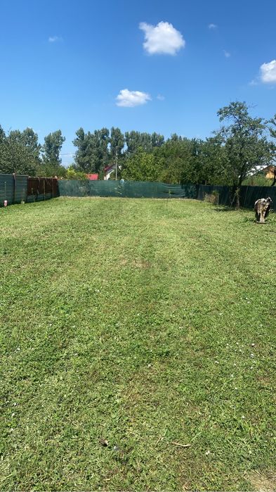 Tai tund defrisez erbicidez iarba gazon boscheti