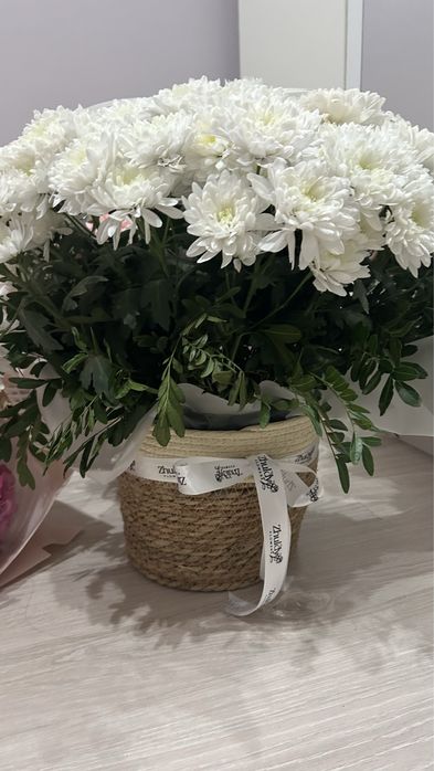 Продам цветы. Сегодня прлучила