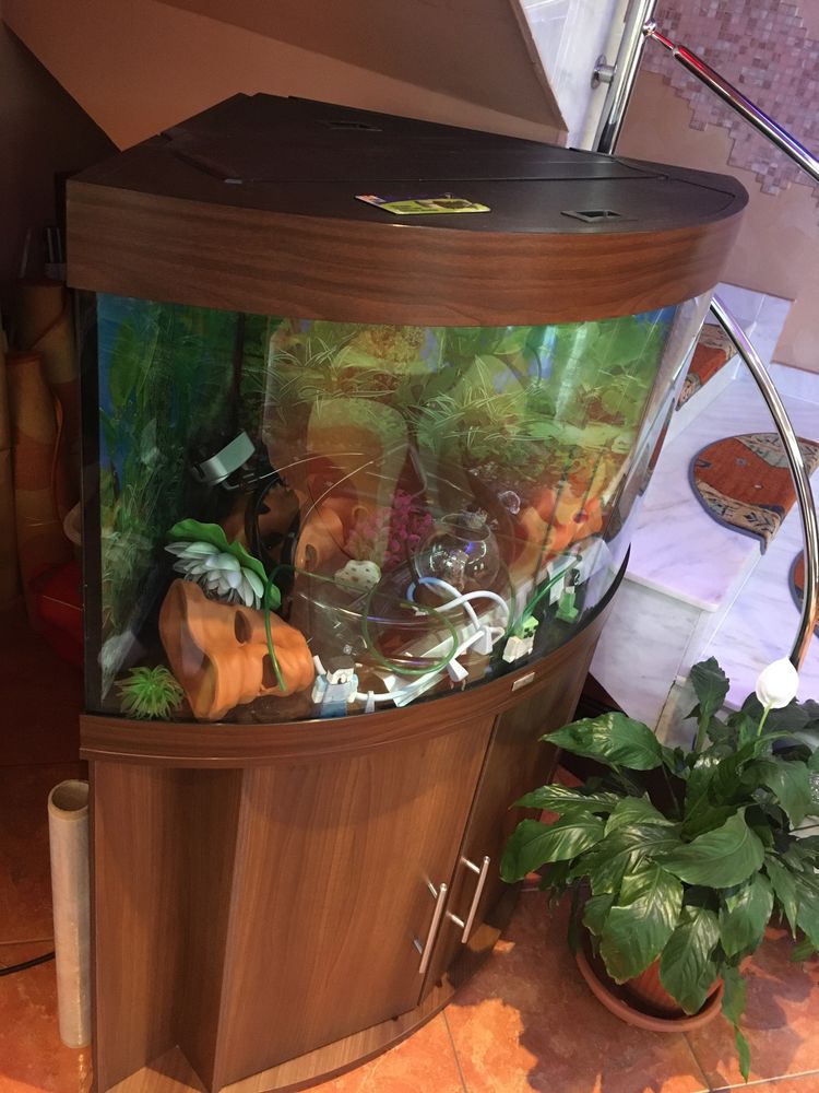 Acvariu Juwel trigon de 190litri
