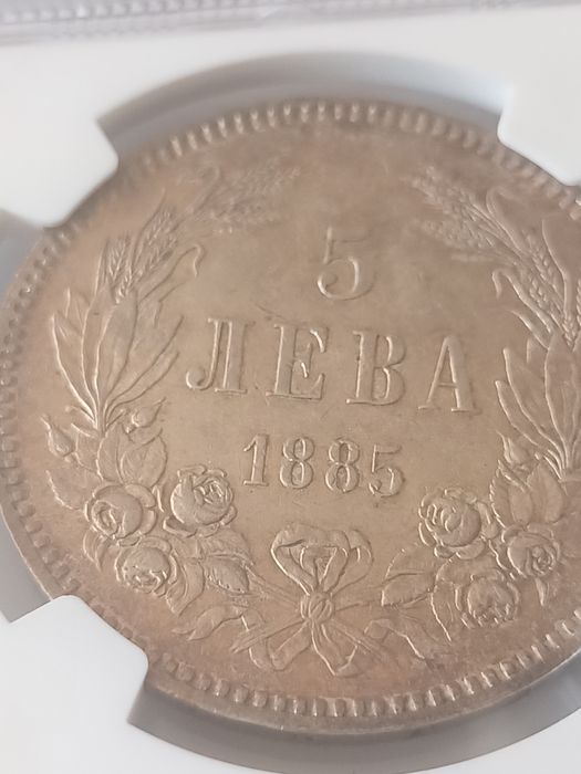 Петолевка 1885 година