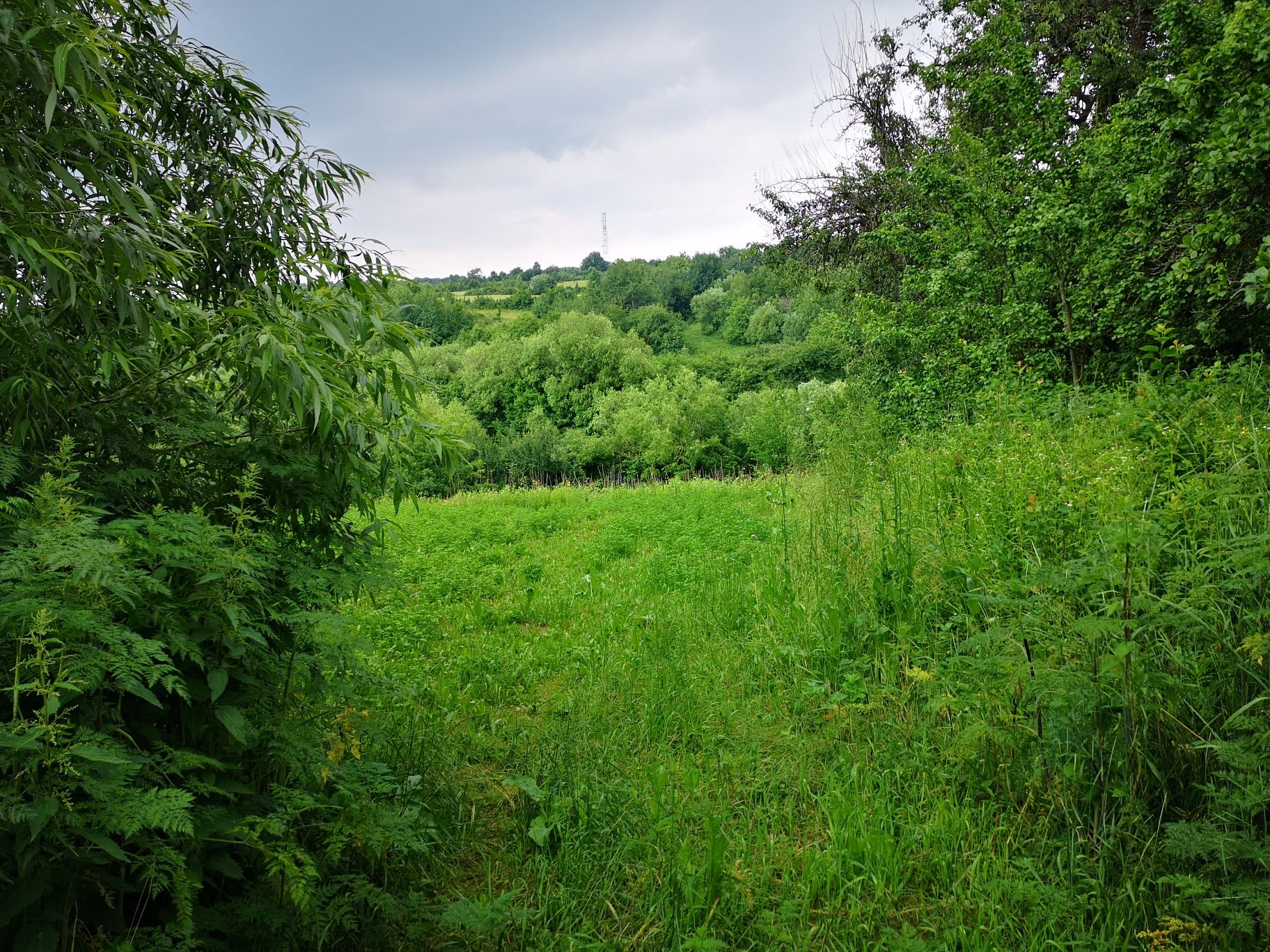 Bucățică de rai - intravilan 2980 m2