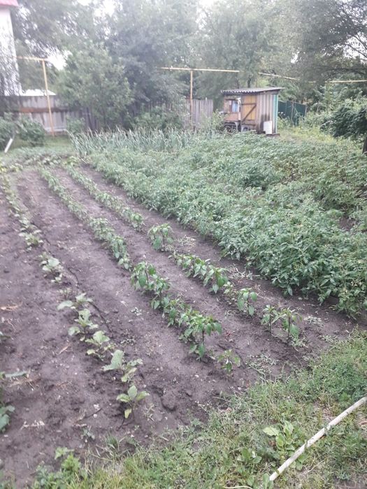 Продам очень уютный дом ПРИРОДА