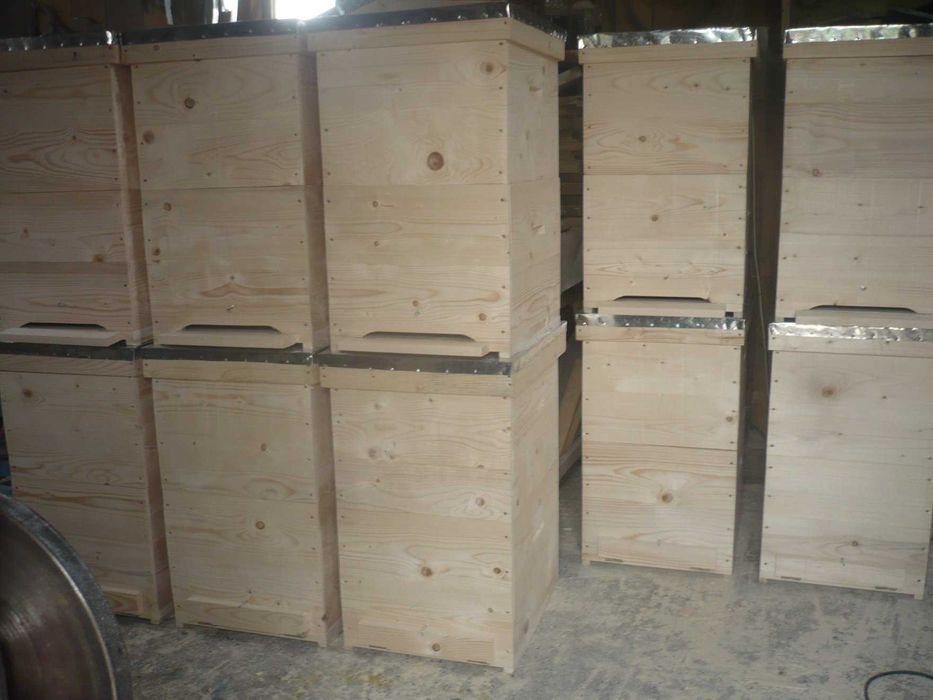 Stupi pe 12 rame 200 lei