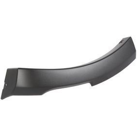 Bandou Ornament Overfender bara fata dreapta Dacia Sandero Stepway