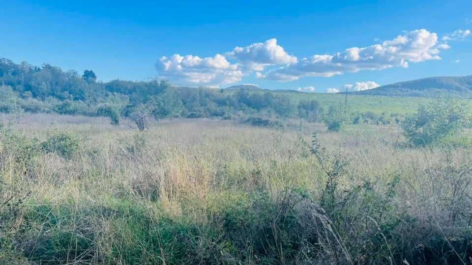 Продава се Парцел в Търговище, Вилна зона - 6082 кв.м за 23 €/кв.м - Снимка #2