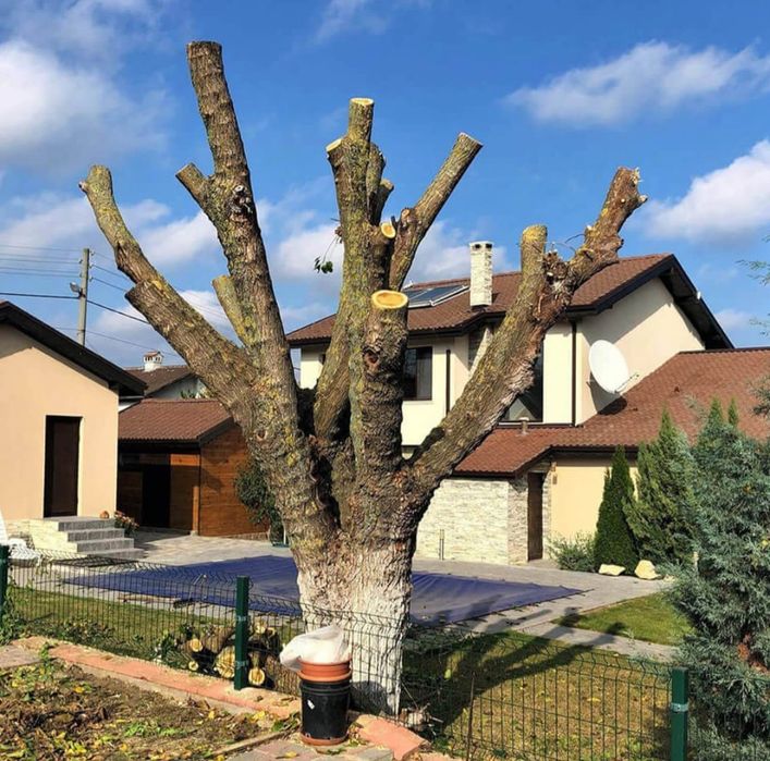 Предлагаме услуги