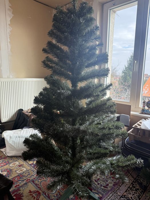 Елхи 2 броя  една голяма и една малка