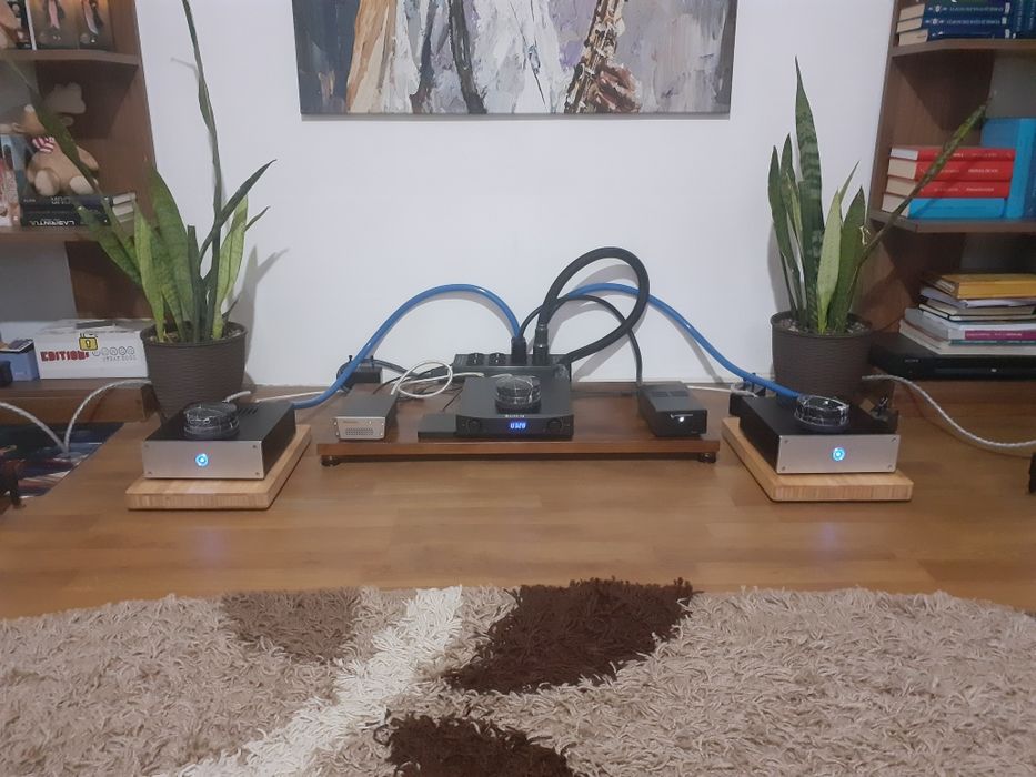 Vand amplificatoare clasa D