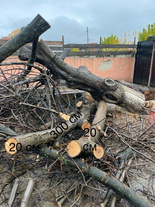 Дървен материал от ОРЕХ