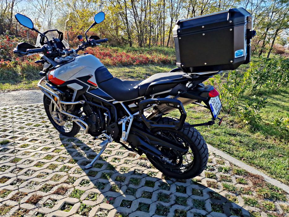 Triumph Tiger 900 Rally Pro MY24