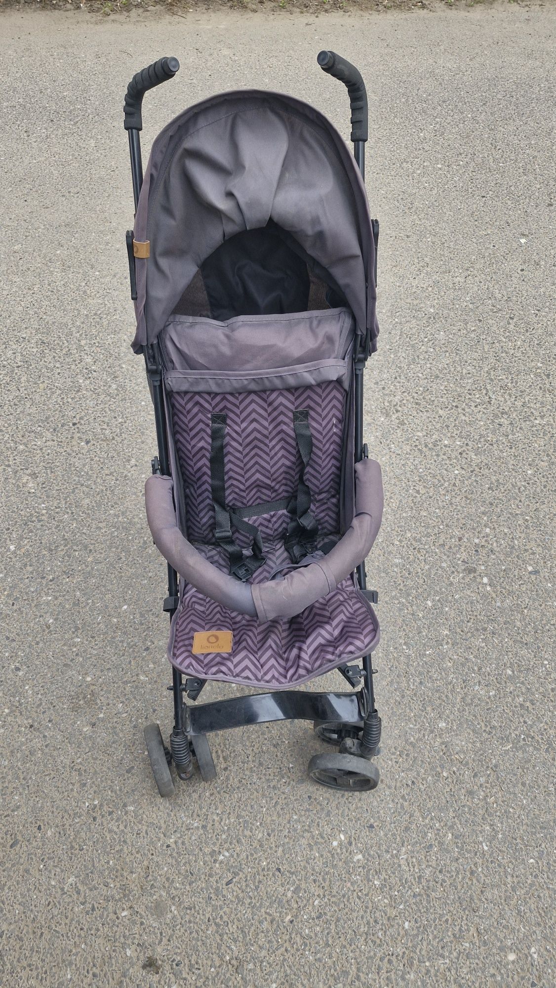 Carut sport lionelo