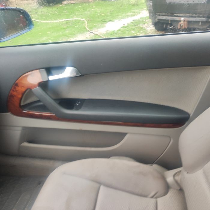 Fete uși audi A3 8P coupe