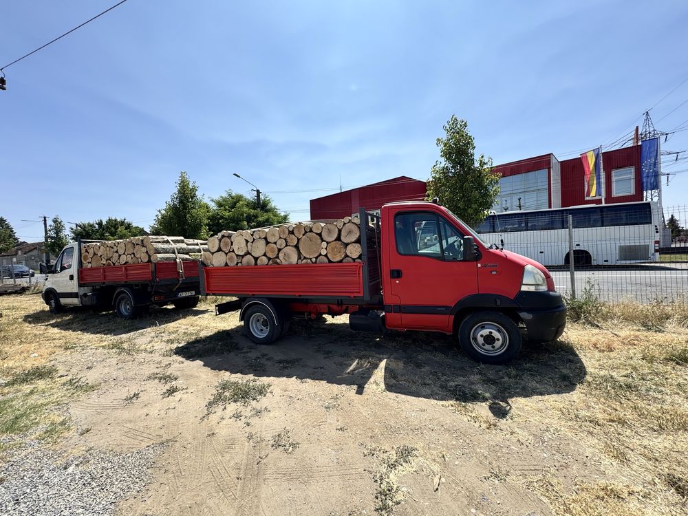 Vand lemn de foc in judetul Arad ESENȚĂ TARE