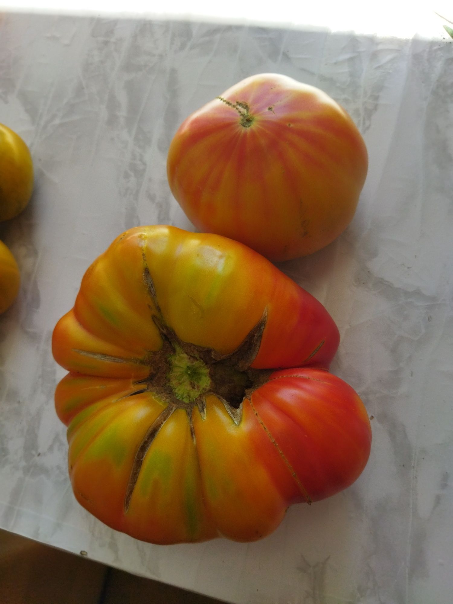 Продам семена томатов собственного производства
