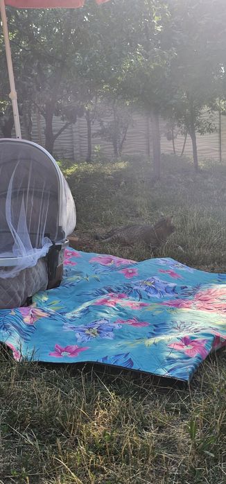 CARUT 2 IN 1 utilizat