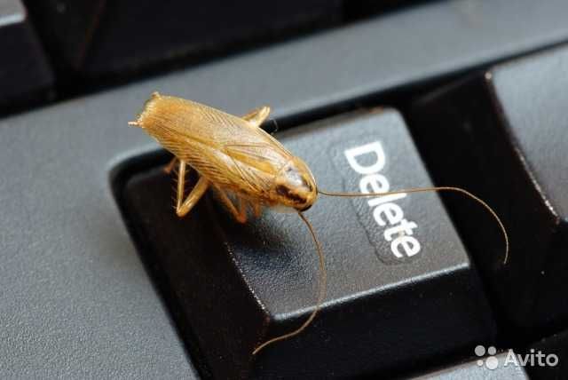 Жёстко наказываю клопов и тараканов (-за мной не надо переделовать)