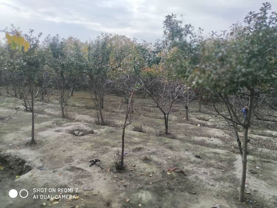 Срочно !!!Ер Сотилади!!!Лоиш