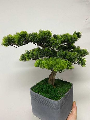 Бонсай ( искусственные деревья) фикус, сакура.
