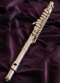 Частные уроки игры на флейте и саксафоне