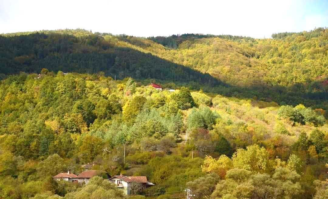 УПИ в с.Горочевци с гараж