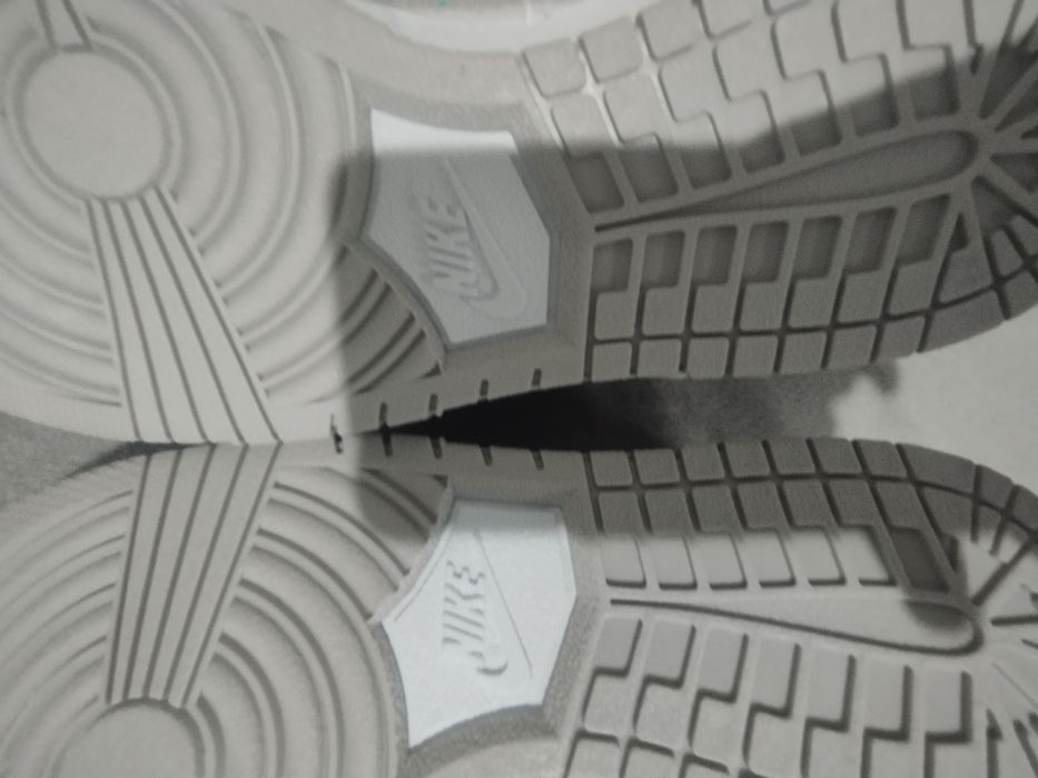 Pantofi sport Nike dunk