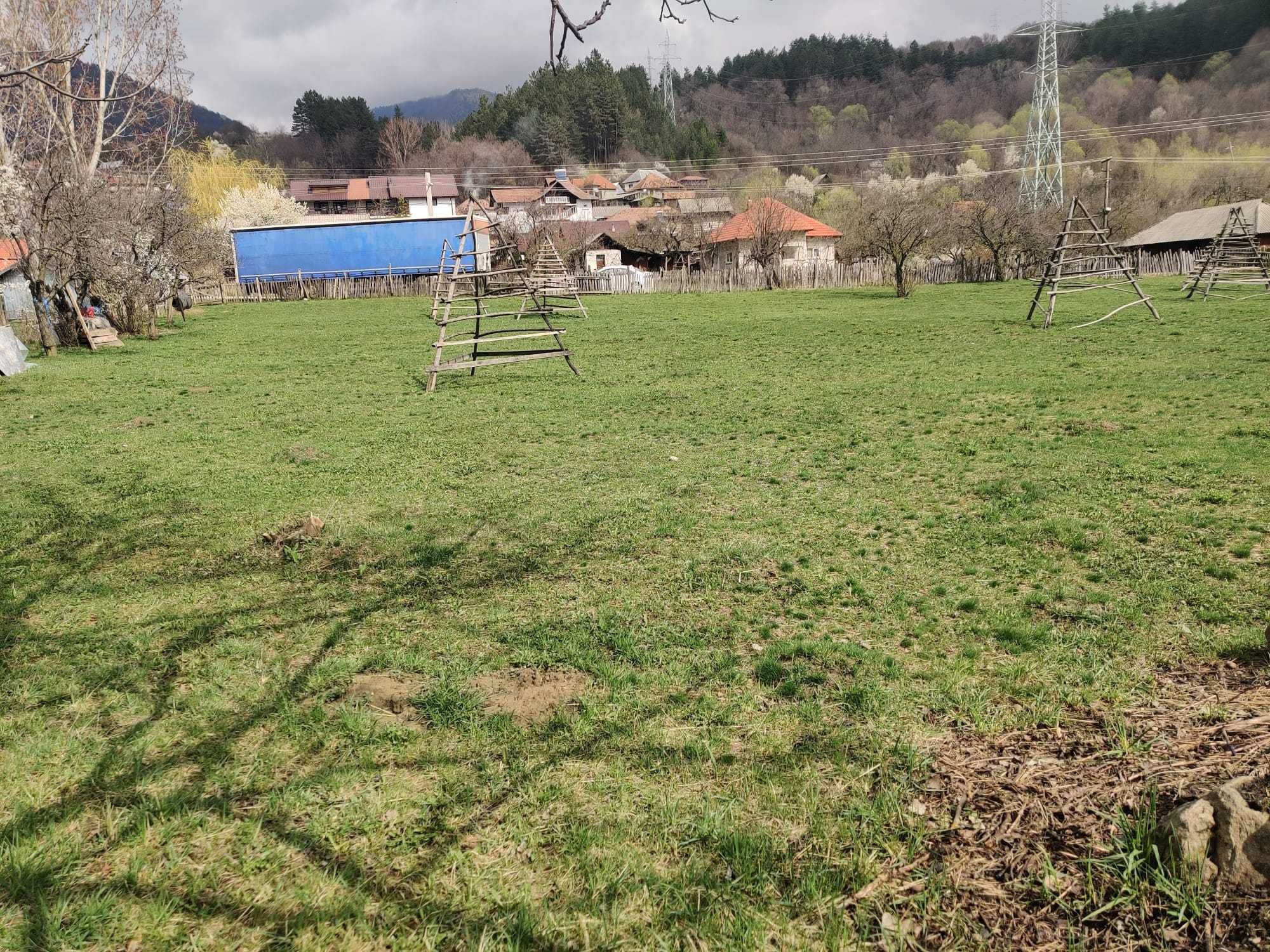 Teren ARGES -Capataneni Ungureni