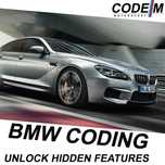 BMW F series CODING  Nbt Evo montaj F10 F20 F30