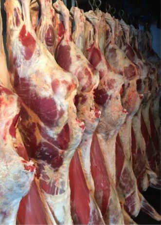 Мясо говядина тушами четвертинами оптом в Актау