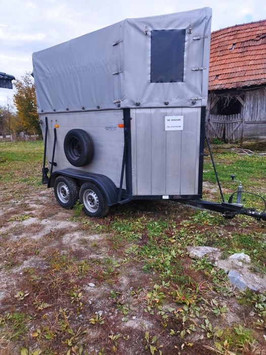 Vând sau schimb cu animale